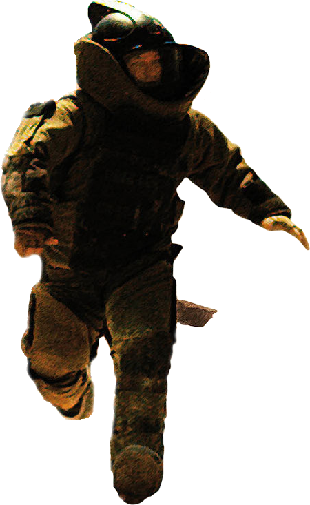 Sgt First Class William James - Played by Jeremy Renner